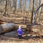 Get Outside Gala  |  Exploring the Wissahickon